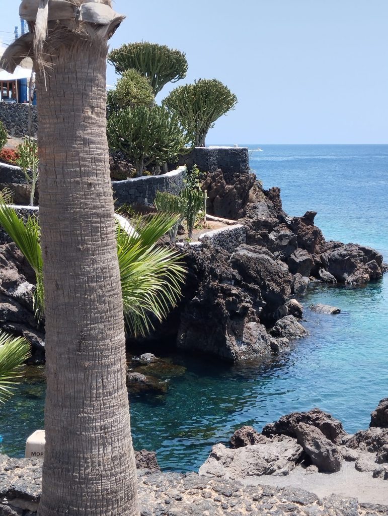 Palme im Vordergrund, dahinter Klippen und das Meer